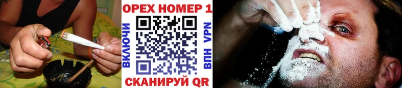 Cocaine Columbia  купить  цена  гидра как войти  Киселёвск 