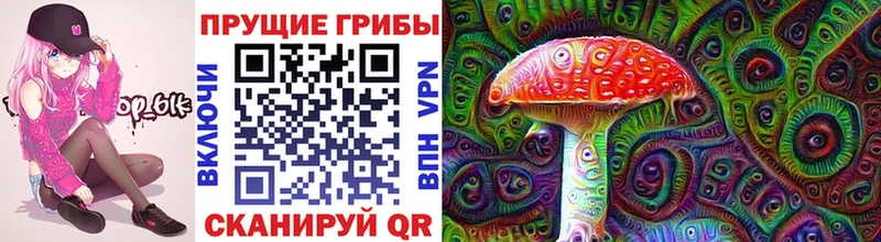 Галлюциногенные грибы Psilocybe  Киселёвск 